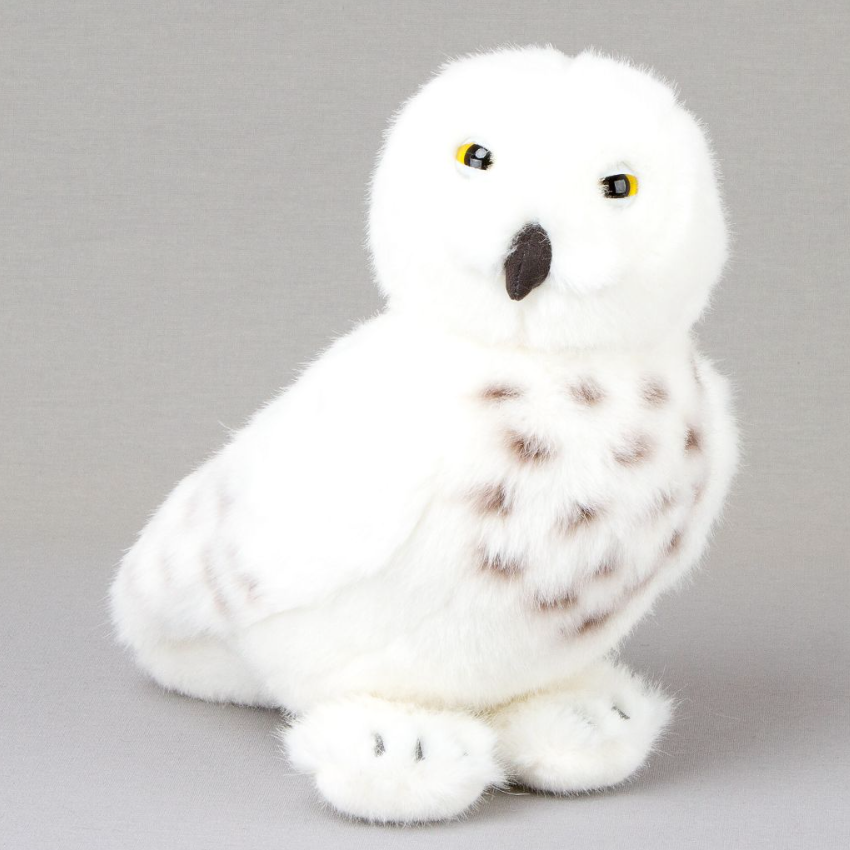 Schneeeule