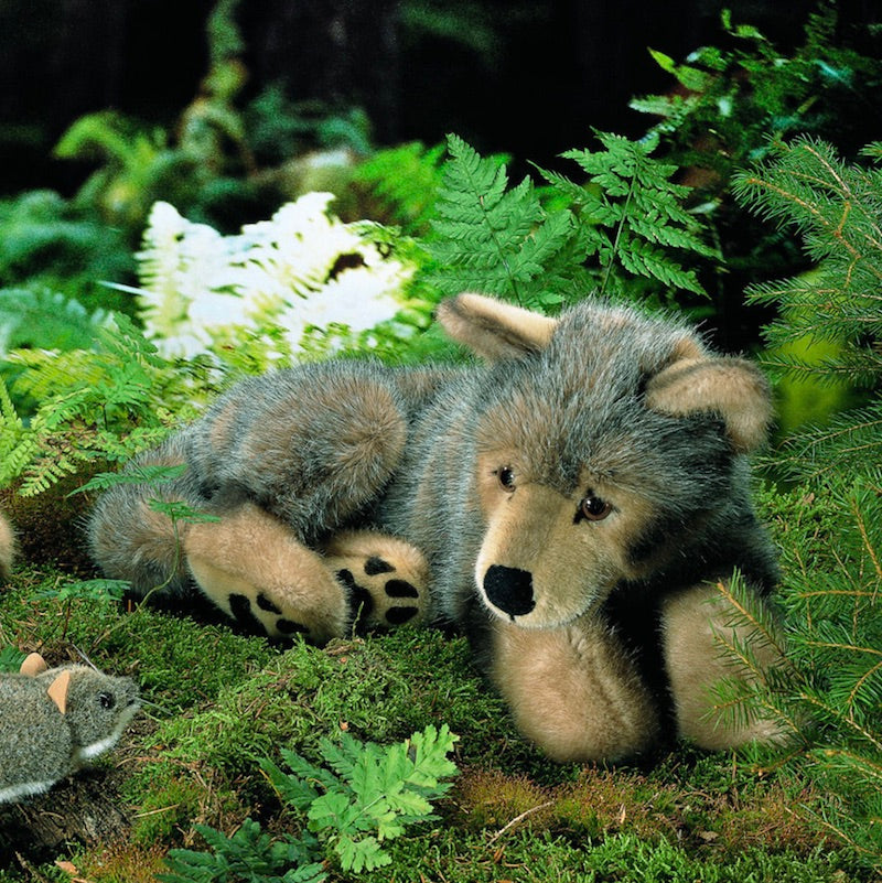 Wolfswelpe, liegend, 40cm
