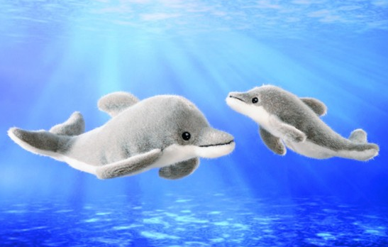 Delfin, klein