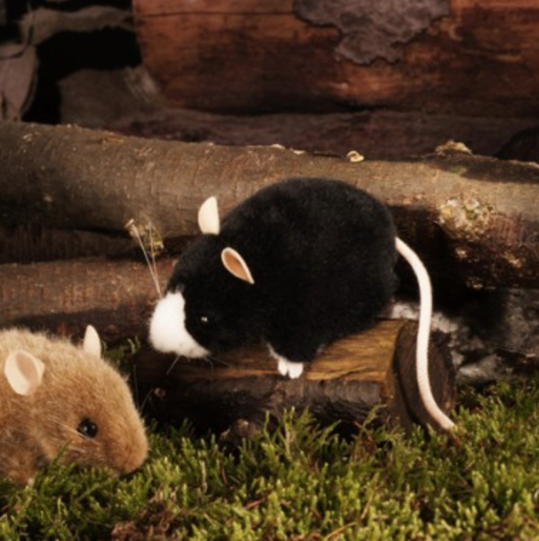 Maus schwarz weiß