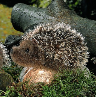 Igel Stachel, Mohair, 11cm