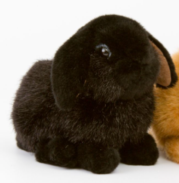 Zwergwidderkind schwarz, 18cm