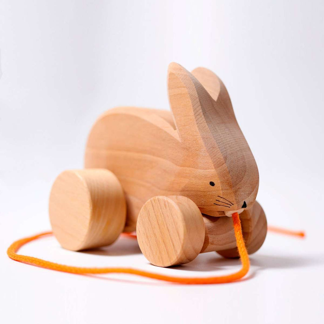 Nachzieh Hoppelhase