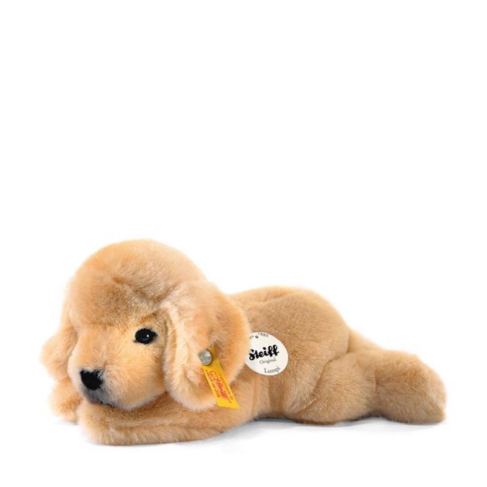 Lumpi Golden Retriever Welpe 22 liegend