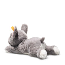 Brie franz. Bulldogge 35cm grau