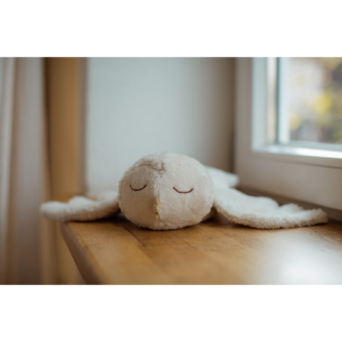 Senger kleine Schneeeule mit Wärmekissen