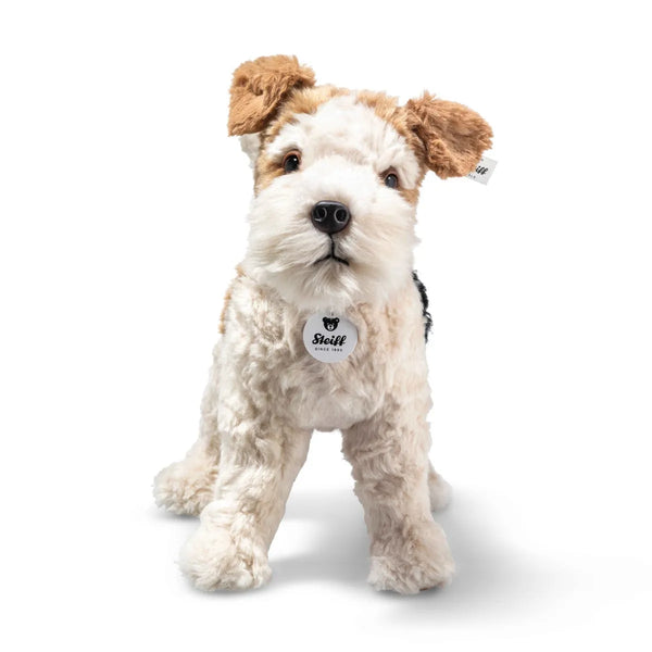 Foxy Foxterrier 32 bunt