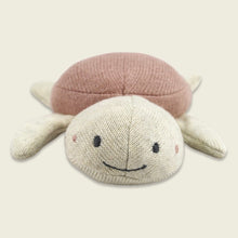 Baby Rassel Turtle