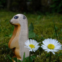 Erdmännchen von Holzwald