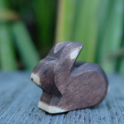 Hase klein von Holzwald