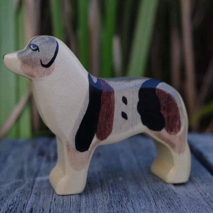 Hund Australien Sheppard von Holzwald