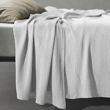 Free new cotton plaid society