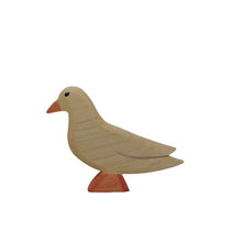 Taube weiß von Holzwald