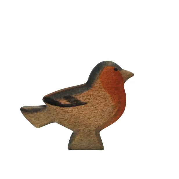 Buchfink von Holzwald