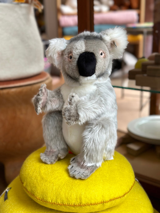 Colo Koala 29
