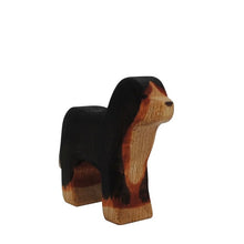 Berner Sennenhund von Holzwald