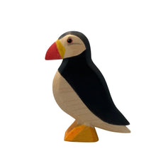Papagaientaucher von Holzwald