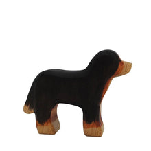 Berner Sennenhund von Holzwald