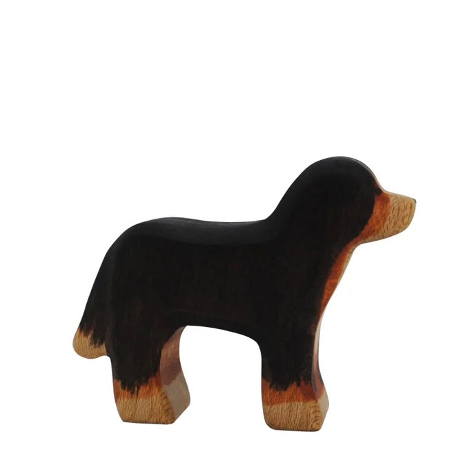 Berner Sennenhund von Holzwald