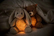 Hoppie Light at night