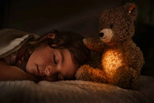 Teddy Light at night