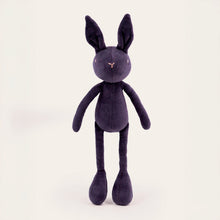 DANIEL LE LAPIN - M/L