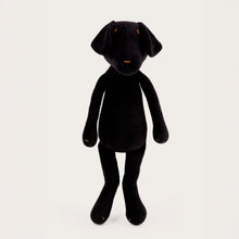 MAX LE LABRADOR - L