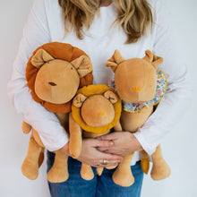 PACK DE 3 - LA FAMILLE DES LIONS