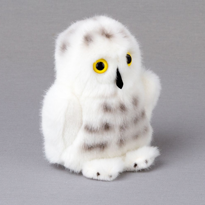 Schneeeule Flocke