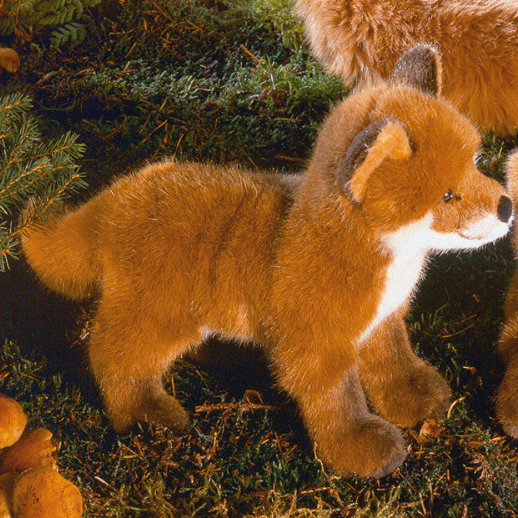 Kleiner Fuchs Paul, stehend
