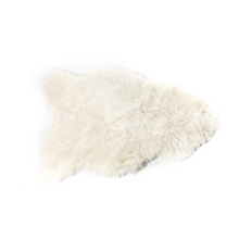 Schaffell Shorthair White