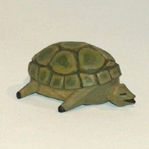 Schildkroete