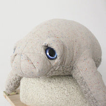 Big Sand Manatee