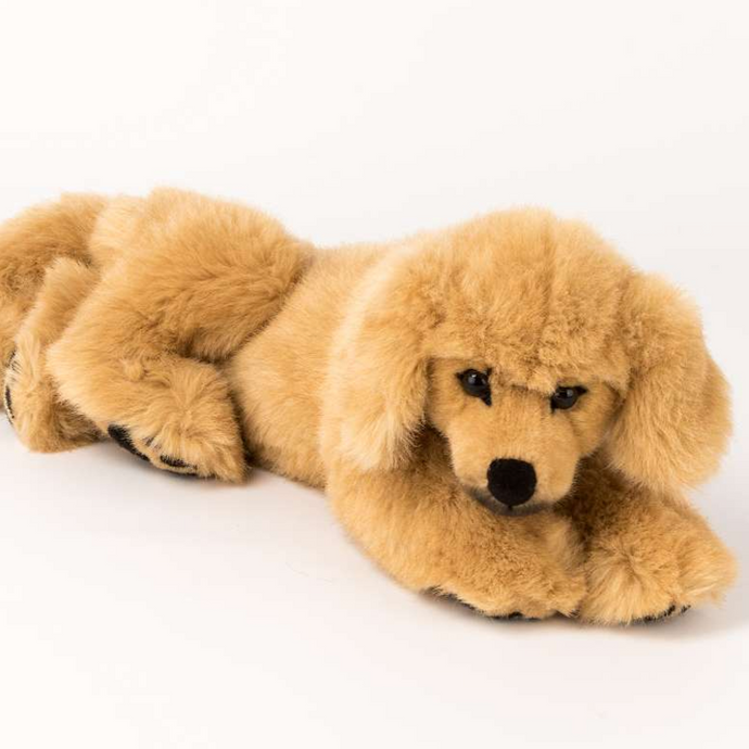 Golden Retriever Welpe liegend
