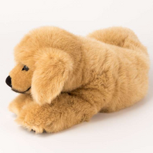 Golden Retriever Welpe liegend