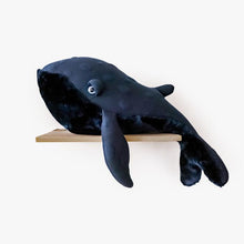 Big Night Whale
