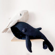 Big Night Whale