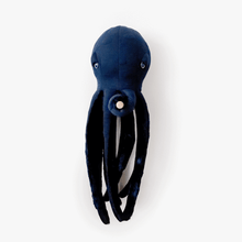 Big Night Octopus