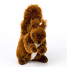 Eichhörnchen, klein, rotbraun, 15cm