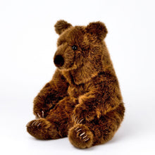 Braunbär sitzend Schlaffi