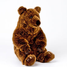 Braunbär sitzend Schlaffi