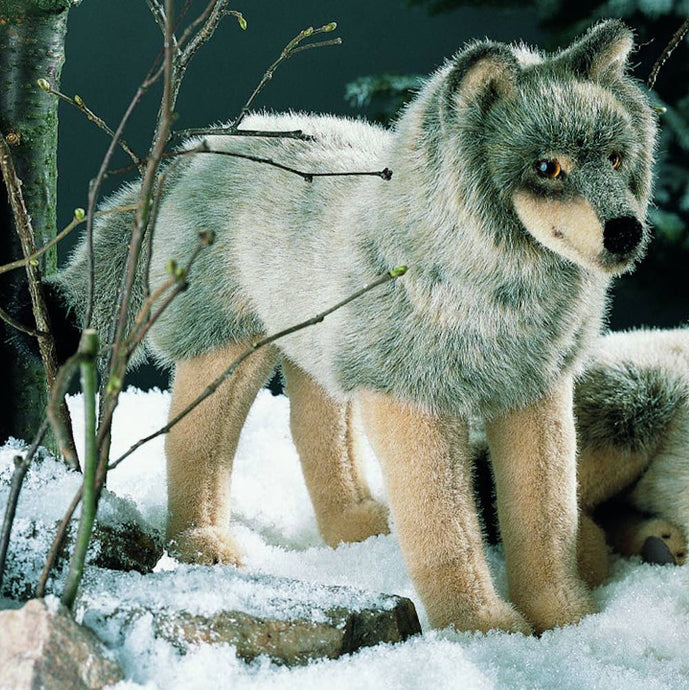 Wolf Stehend
