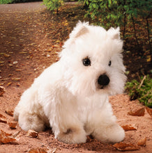 West Highland Terrier