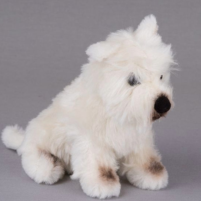 West Highland Terrier