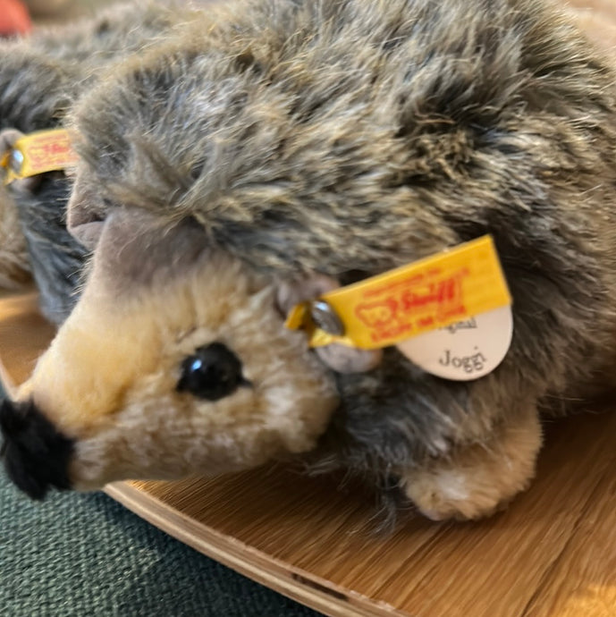 Joggi Igel
