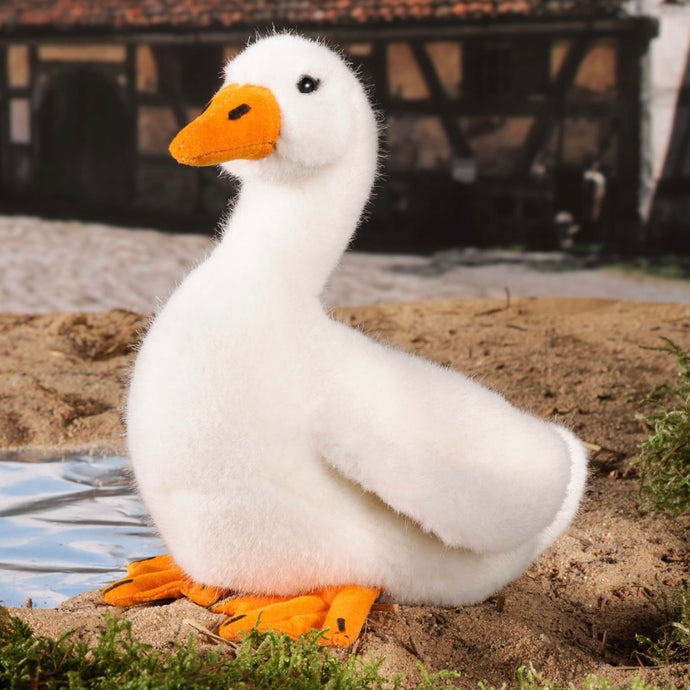 Kleine weiße Ente